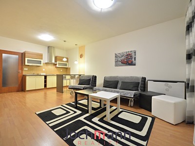 Pronájem bytu 1+kk, 43 m² (3 z 8)