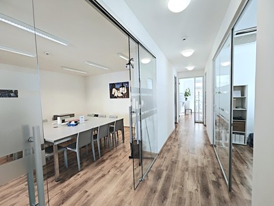 Pronájem komerčního prostoru, 373 m² (3 z 10)