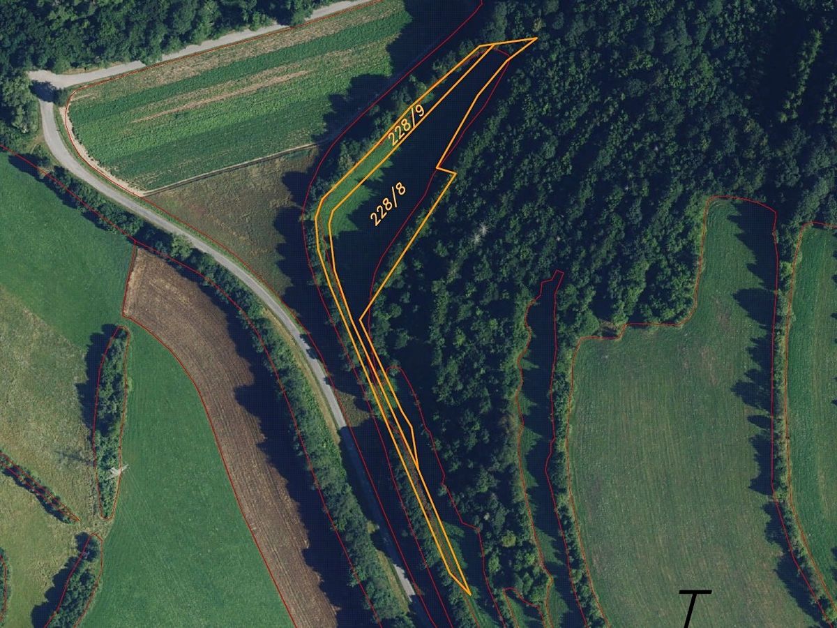 Dražba louky 6028 m², Skorotice – fotka 1 z 3