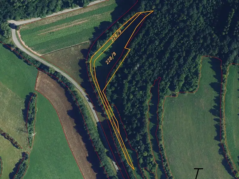 Dražba louky 6028 m², Skorotice – náhled fotky 1