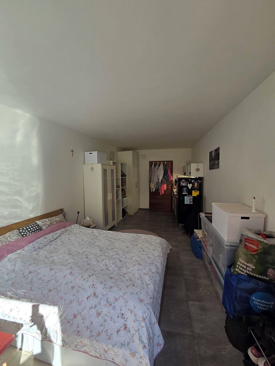 Pronájem bytu 1+kk 28 m² – fotografie 3