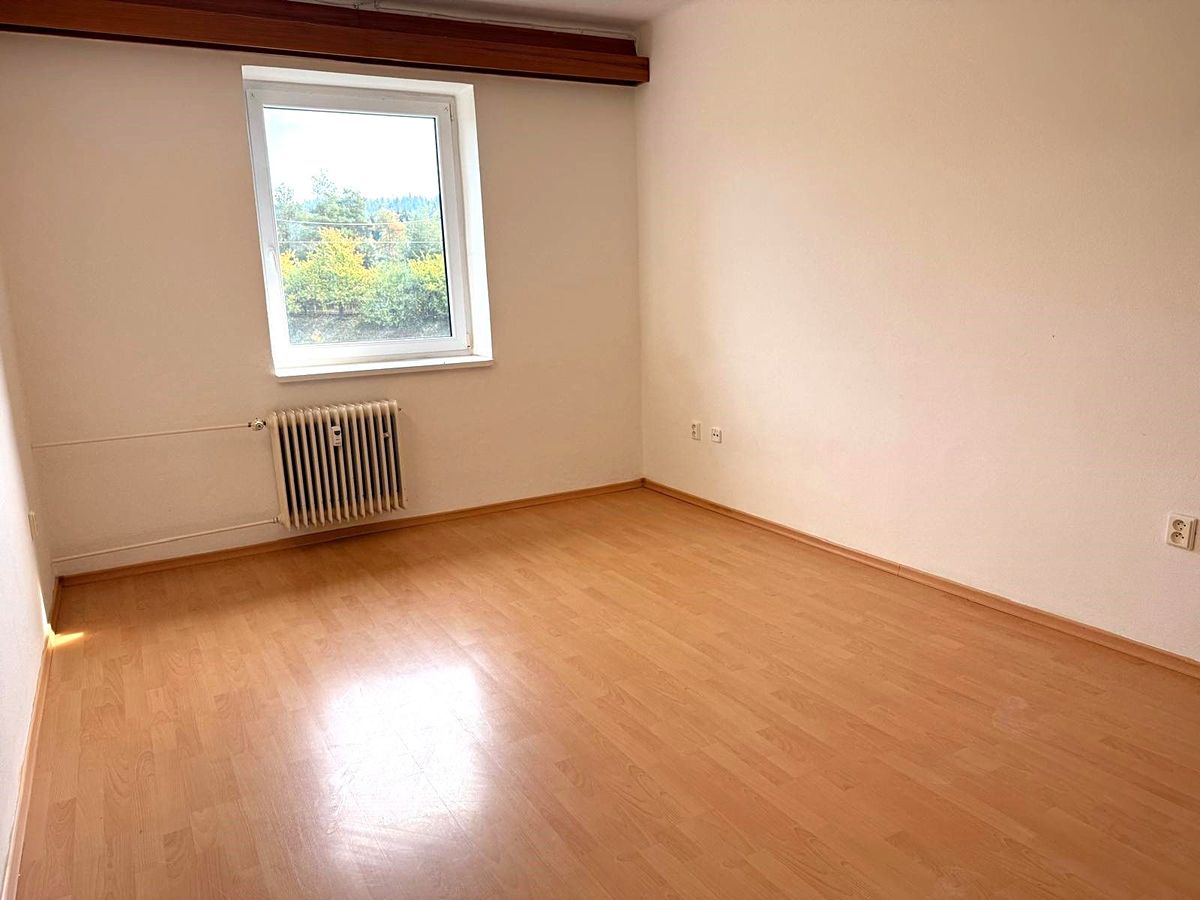 Pronájem bytu 1+kk 21 m², Olešná – fotka 1 z 3