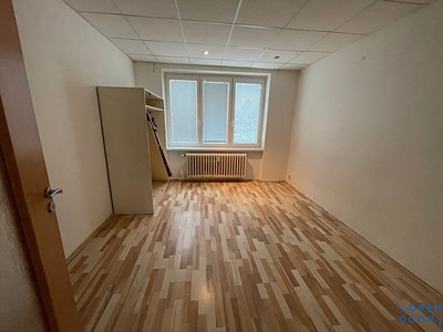 Pronájem bytu 2+1, 52 m² (3 z 15)