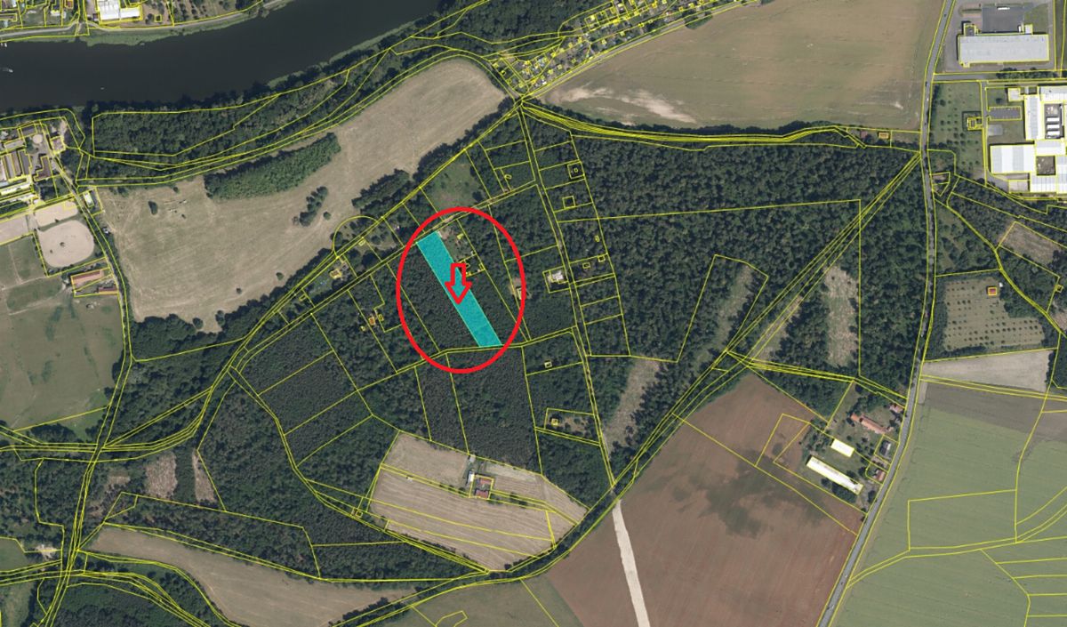 Prodej lesa 5779 m² – fotografie 4