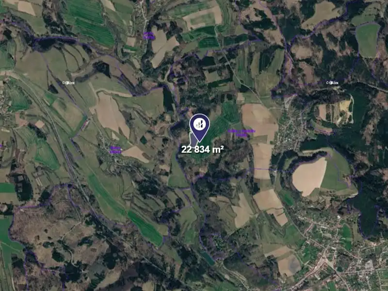 Prodej louky 22834 m², Kunštát – náhled fotky 2