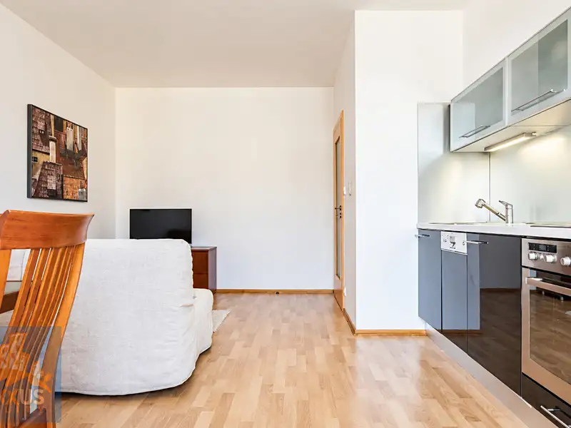 Pronájem bytu 2+kk 45 m², Praha – náhled fotky 3