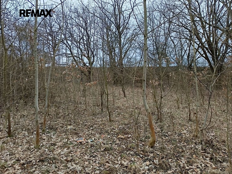 Grundstück zum Kauf, 3.482 m² (6 von 8)