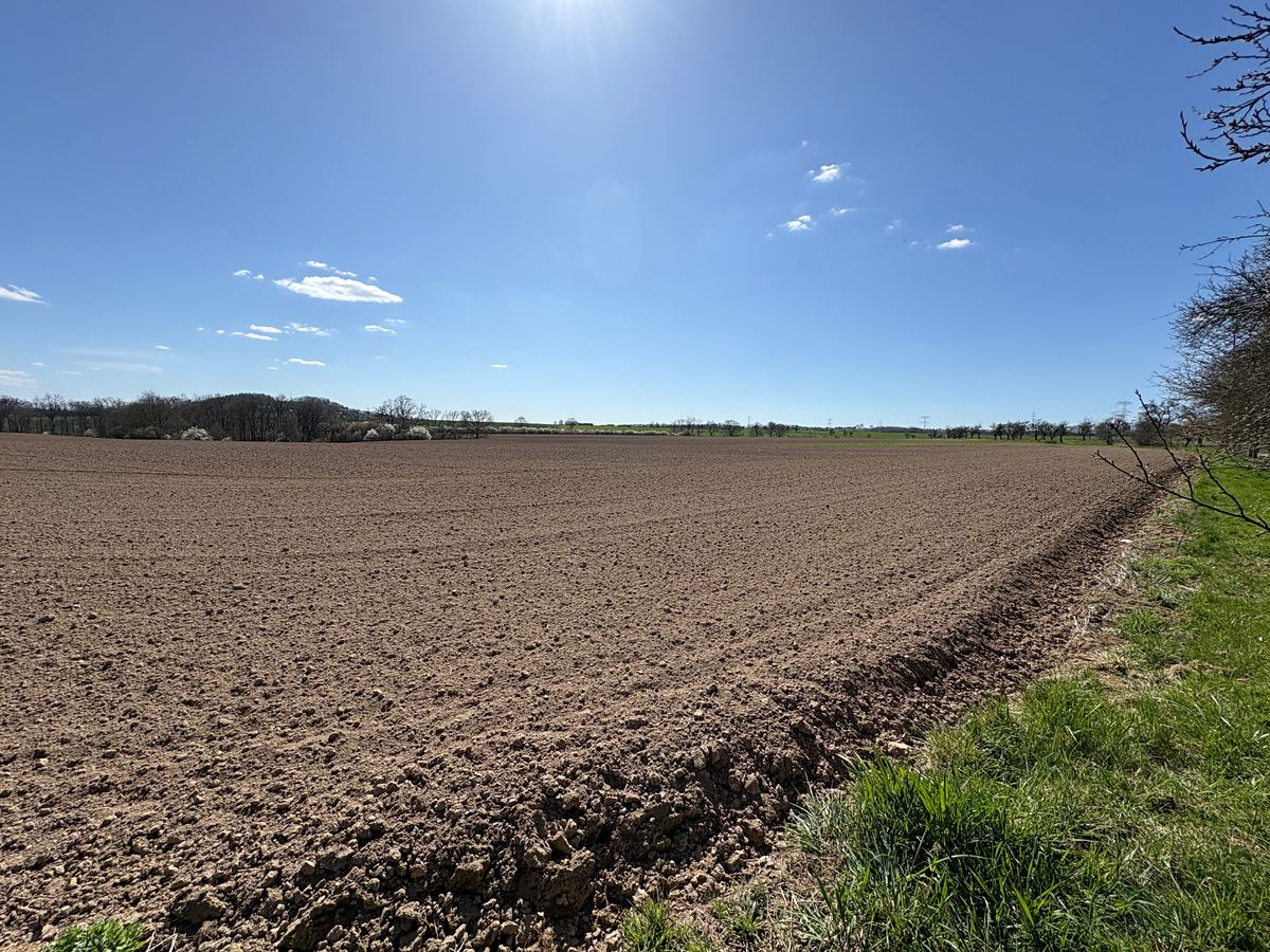 Prodej stavebního pozemku 3800 m² – fotografie 4
