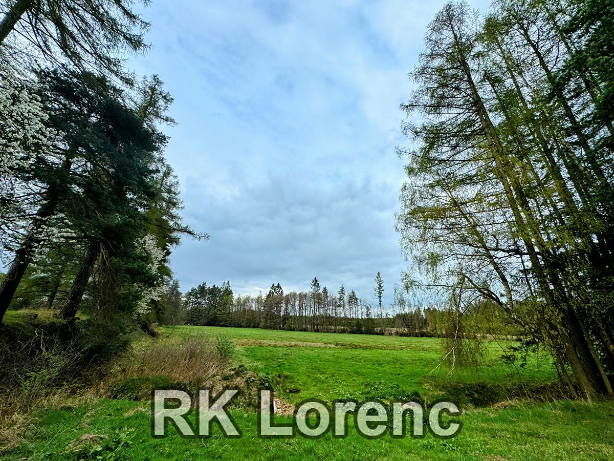 Prodej louky 5265 m²