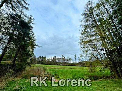 Prodej louky 5265 m²
