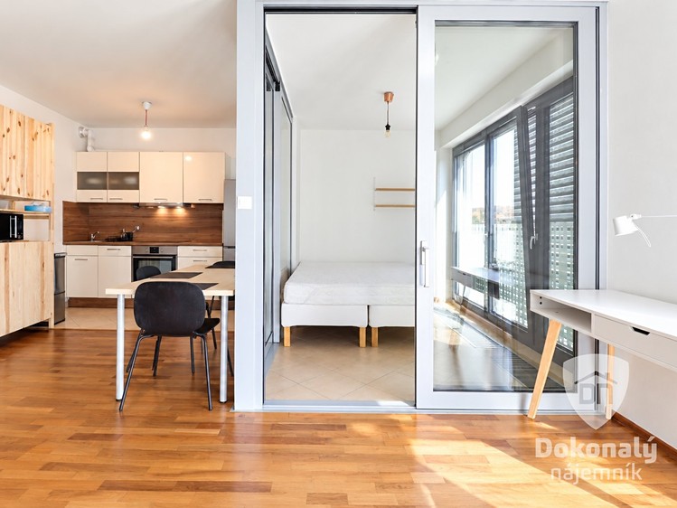 Pronájem bytu 1+1, 48 m² (10 z 18)