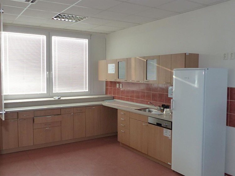 Pronájem komerčního prostoru, 300 m² (4 z 5)