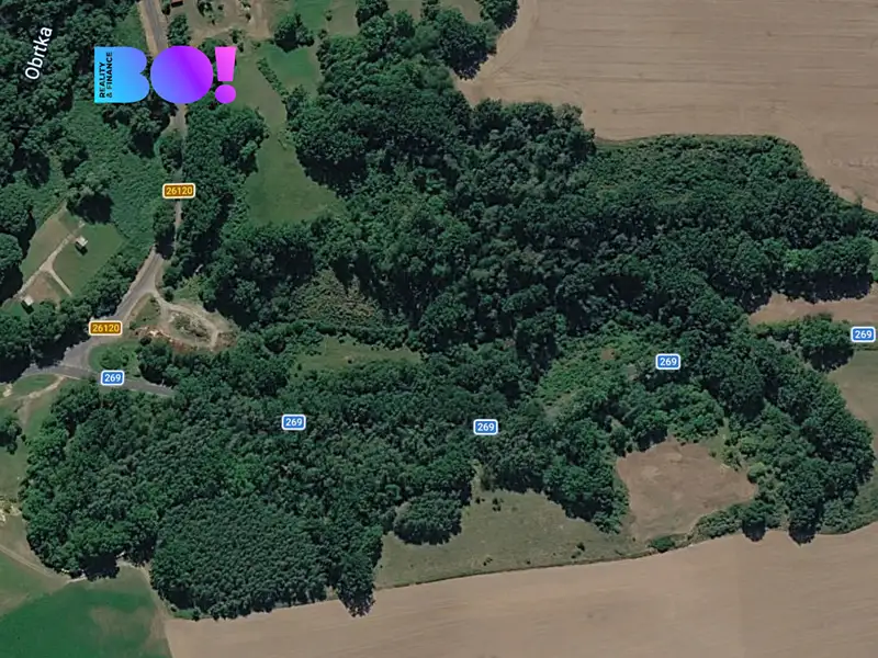 Prodej pole 42900 m², Snědovice – náhled fotky 3