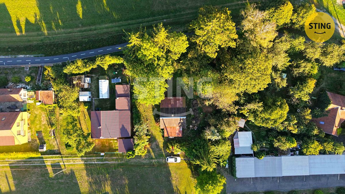 Prodej rodinného domu 85 m², pozemek 1339 m² – fotografie 5