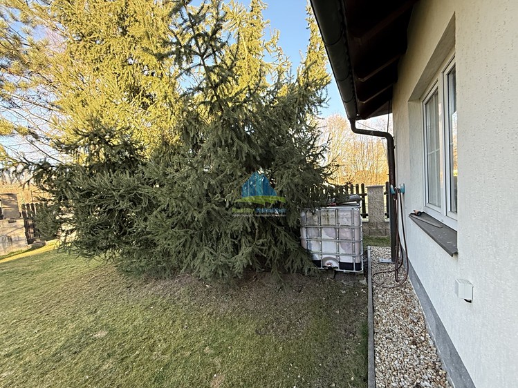 Haus zum Kauf, 174 m² (16 von 33)