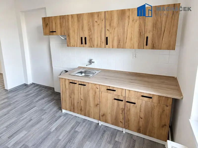 Pronájem bytu 1+1 40 m², Zabrušany – náhled fotky 1