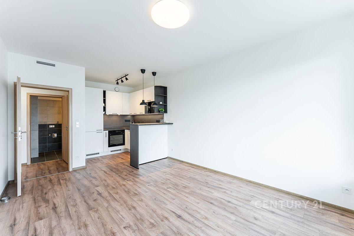 Pronájem bytu 3+kk 70 m² – fotografie 2