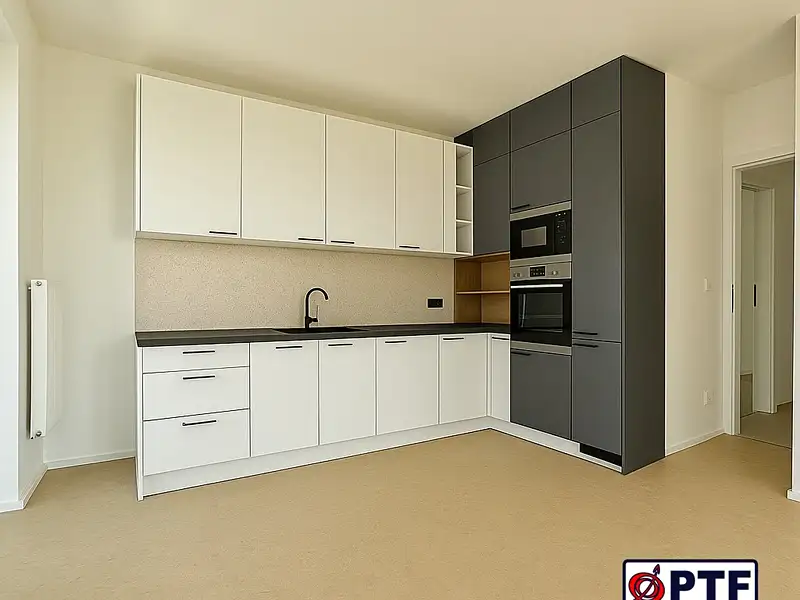 Pronájem bytu 3+kk 82 m², Plzeň – náhled fotky 1
