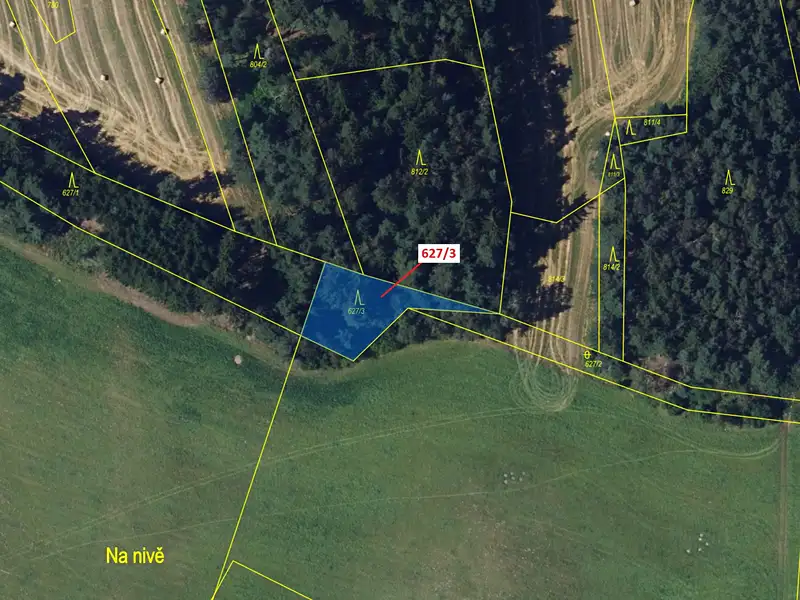 Dražba lesa 594 m², Rožná – náhled fotky 2