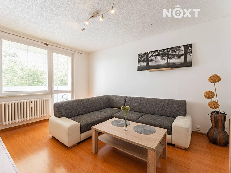 Pronájem bytu 2+1, 52 m² (1 z 15)
