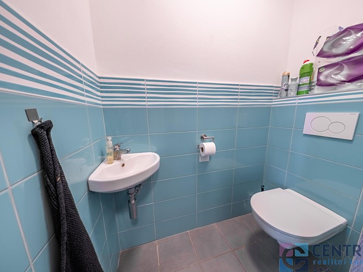 Prodej komerčního prostoru, 265 m² (14 z 43)