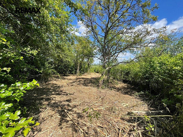 Grundstück zur Miete, 851 m² (10 von 16)