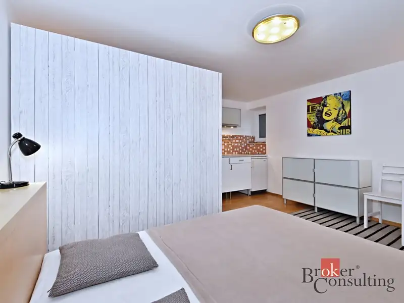 Pronájem bytu 1+kk 25 m², Praha – náhled fotky 3