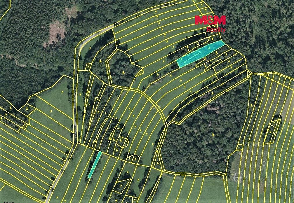 Prodej lesa 420 m², Vysoká – fotka 1 z 3