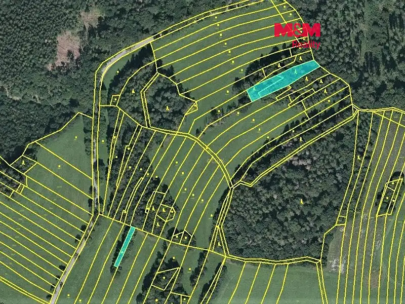 Prodej lesa 420 m², Vysoká – náhled fotky 1