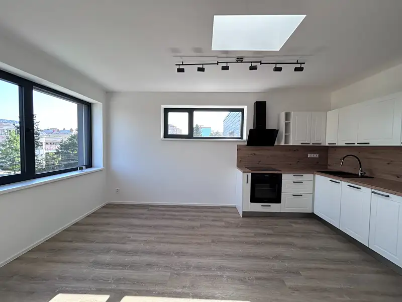 Pronájem bytu 2+kk 43 m², Plzeň – náhled fotky 1