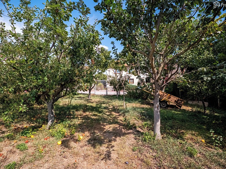 Ostatní