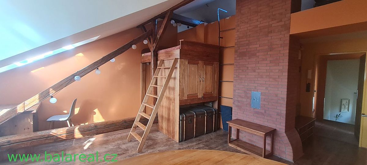 Pronájem bytu 1+kk 50 m² – fotografie 5