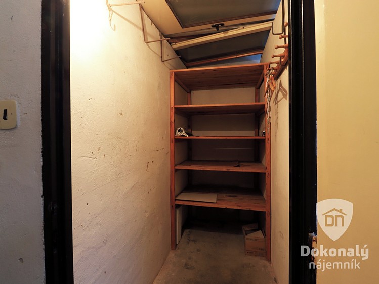 Pronájem bytu 1+kk, 43 m² (9 z 12)