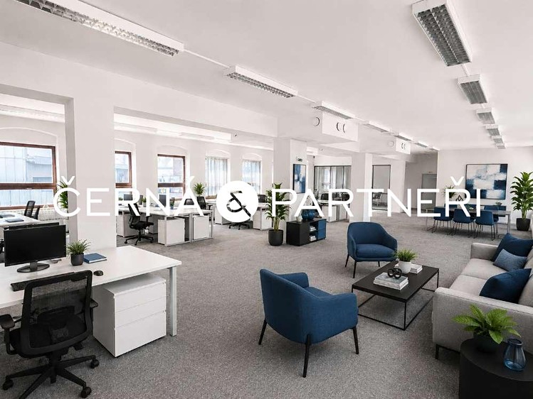 Комерційне приміщення в оренду, 264 м² (7 з 12)
