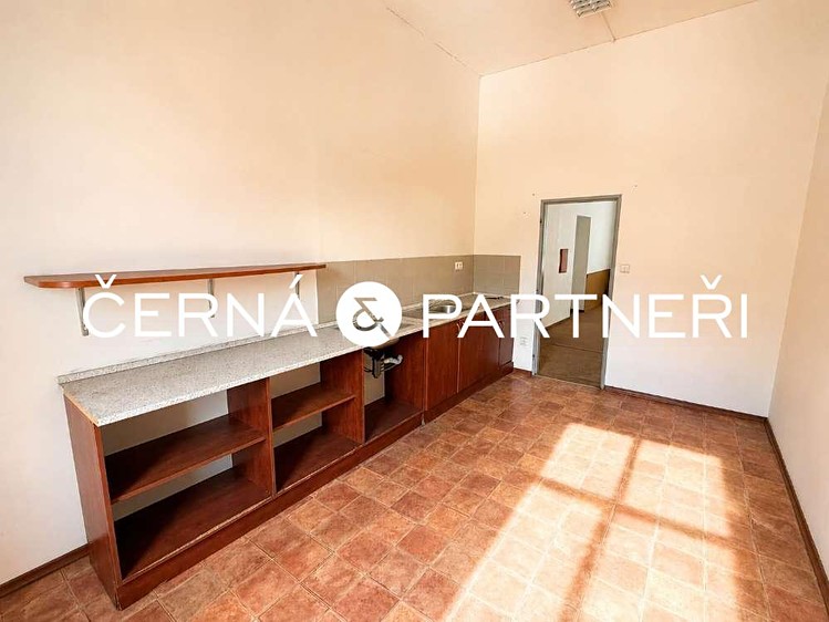 Комерційне приміщення в оренду, 264 м² (2 з 12)