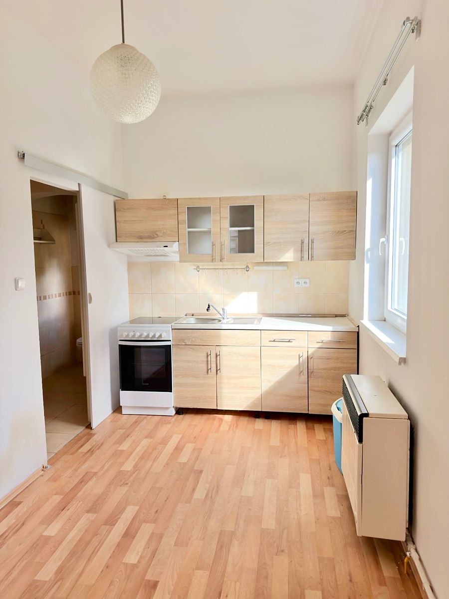 Pronájem bytu 1+1 36 m²