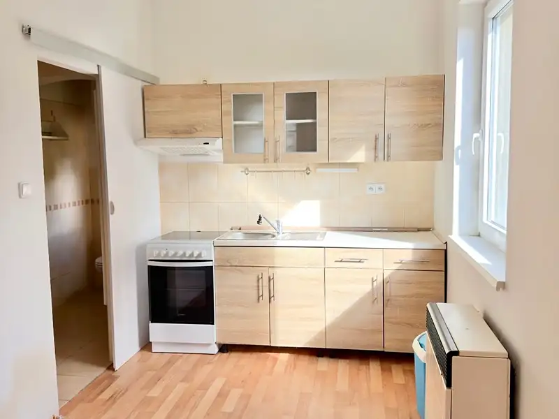 Pronájem bytu 1+1 36 m², Děčín – náhled fotky 1