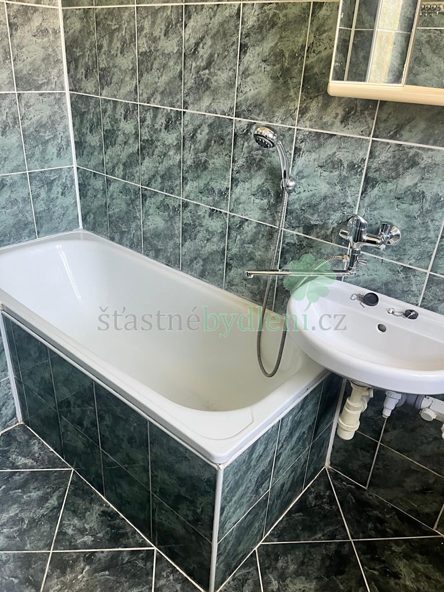 Pronájem bytu 2+1 56 m² – fotografie 5