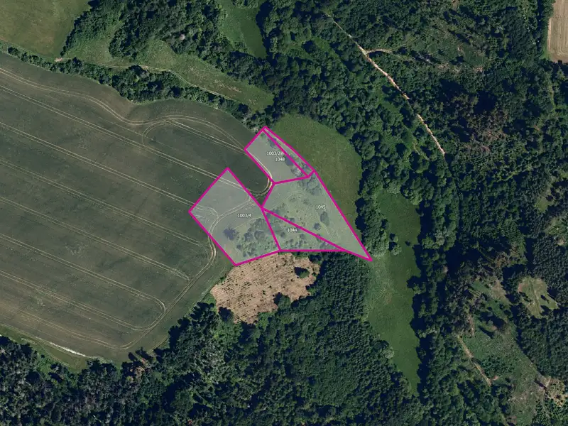 Prodej pole 9329 m², Zbraslav – náhled fotky 2