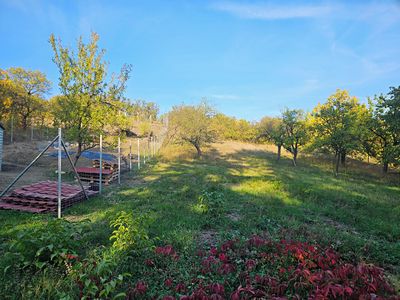 Prodej zahrady 453 m²