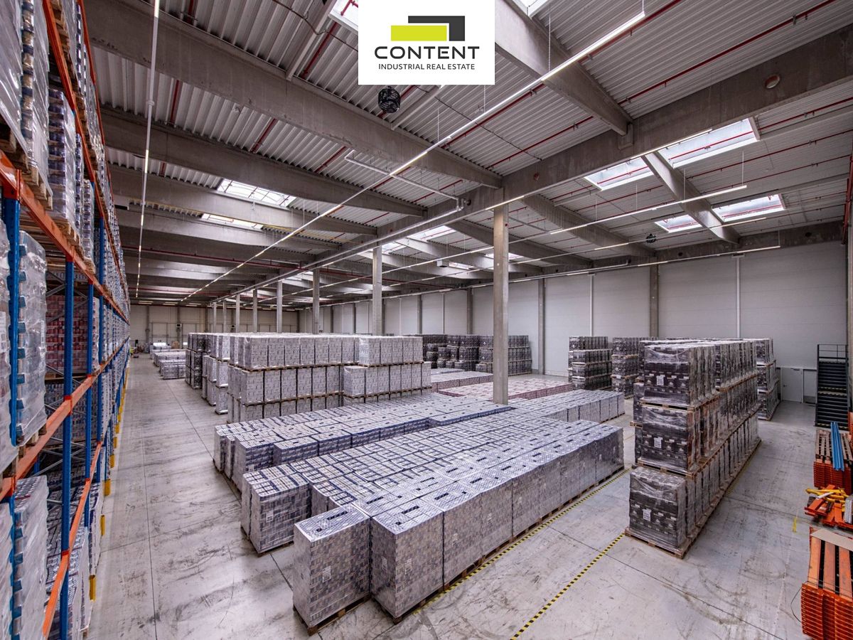 Pronájem výrobní haly, prostoru 13992 m² – fotografie 2