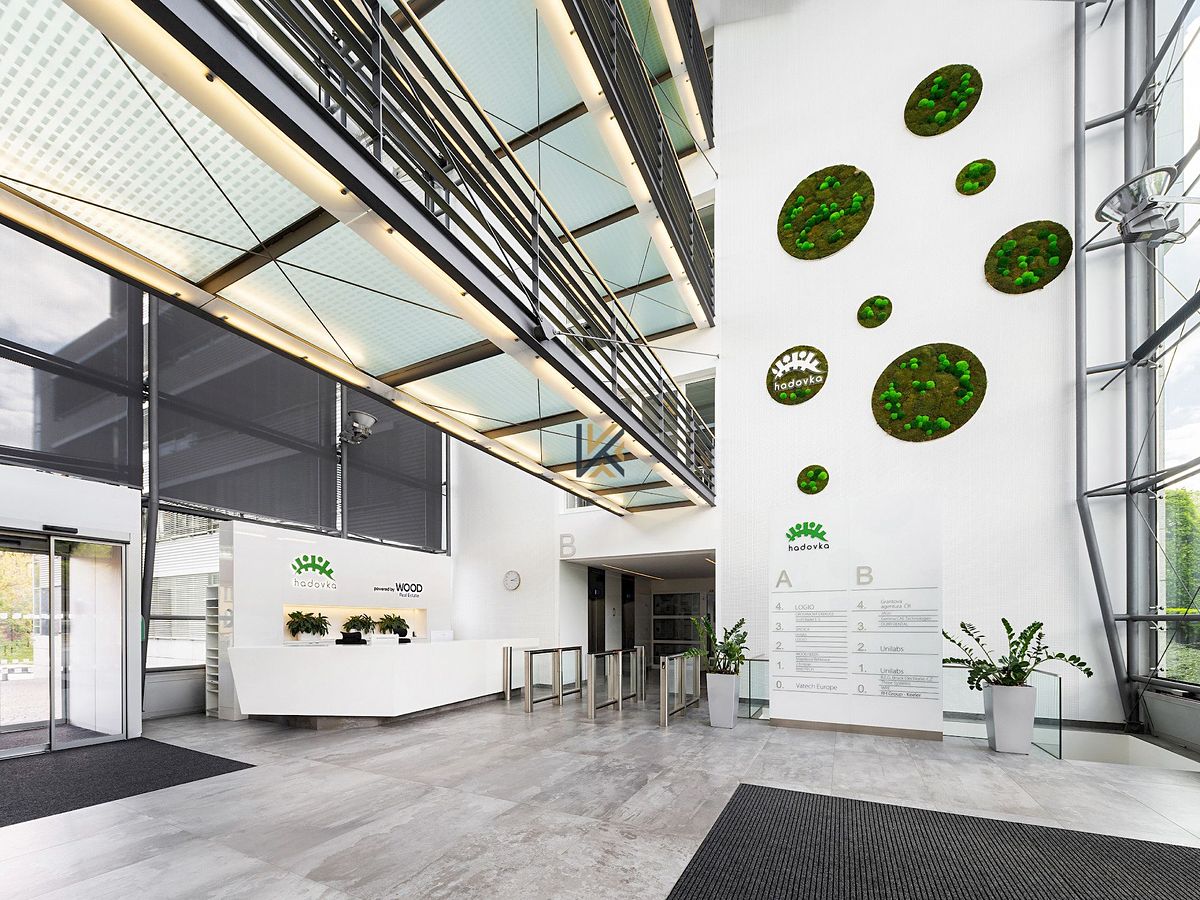 Pronájem kanceláře 325 m² – fotografie 2