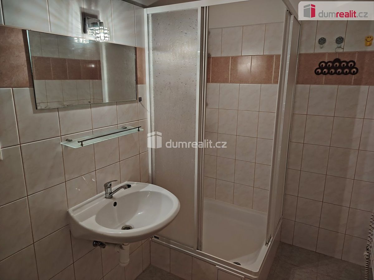 Pronájem bytu 1+1 45 m² – fotografie 4