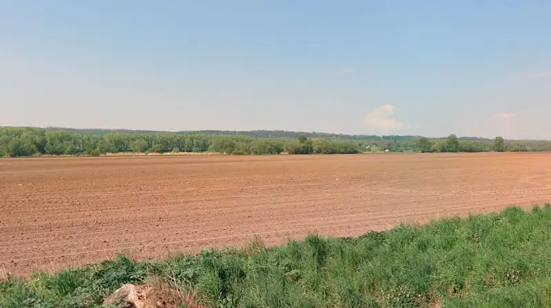 Prodej pole 14700 m², Štětí – náhled fotky 2