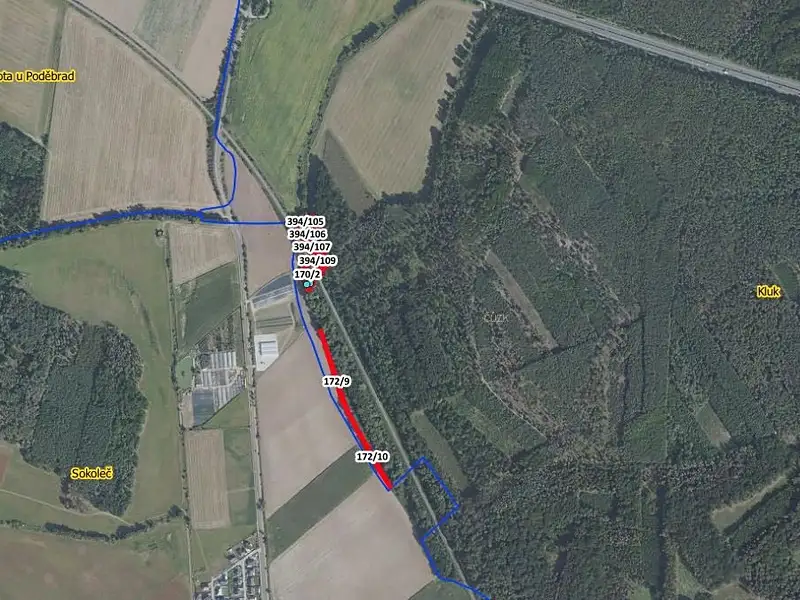 Prodej lesa 5736 m², Poděbrady – náhled fotky 2