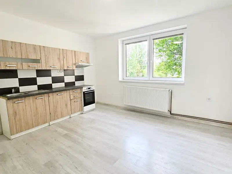 Pronájem bytu 1+1 50 m², Hostomice – náhled fotky 3