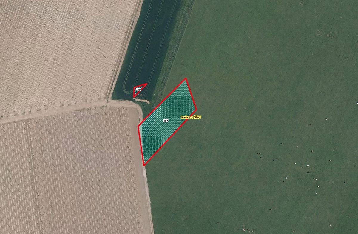 Prodej pole 4020 m², Račice – fotka 1 z 3