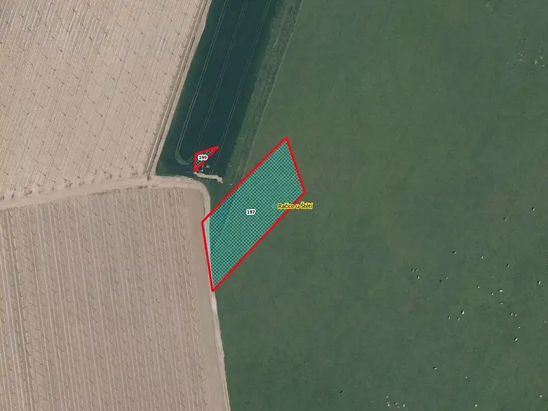 Prodej pole 4020 m², Račice – náhled fotky 1
