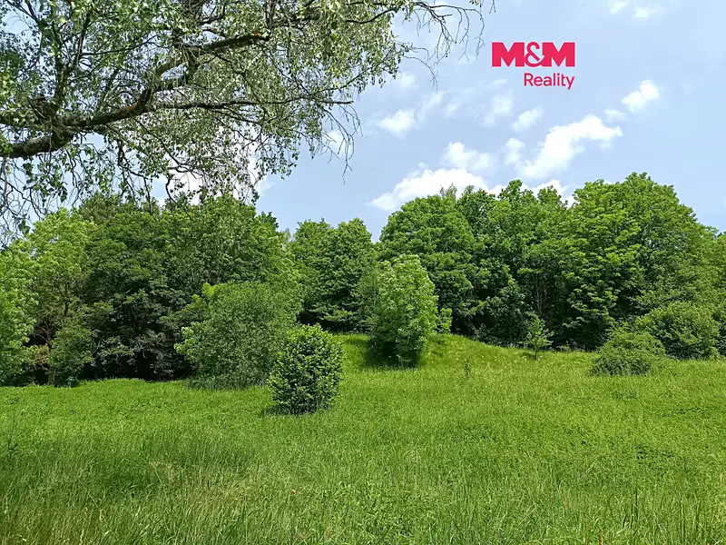 Prodej stavebního pozemku 2148 m², Božanov – náhled fotky 1