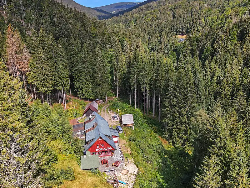 Prodej chalupy 500 m², pozemek 2095 m², Vítkovice – náhled fotky 3